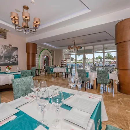 Euphoria Palm Haciobasi