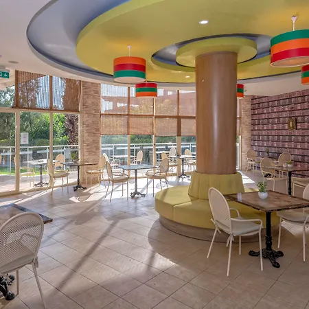 Euphoria Palm Haciobasi