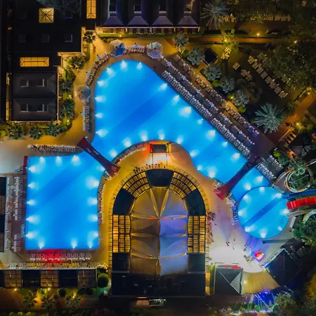 Euphoria Palm Haciobasi