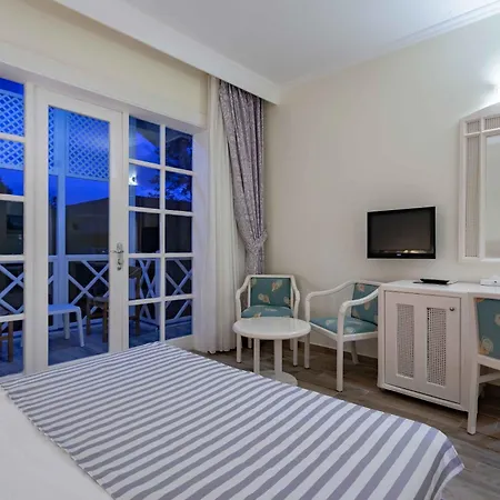 Euphoria Palm Kızılağaç