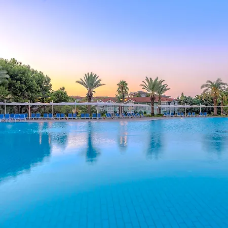 Euphoria Palm Haciobasi