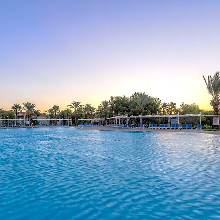 Euphoria Palm Haciobasi