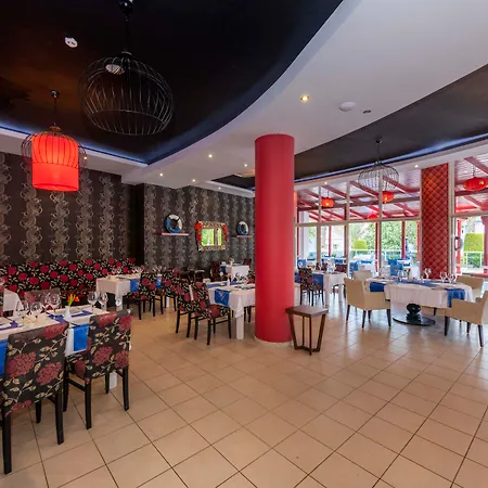 Euphoria Palm Haciobasi