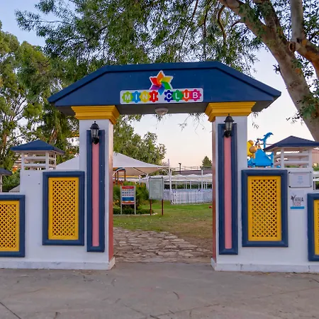 Euphoria Palm Haciobasi