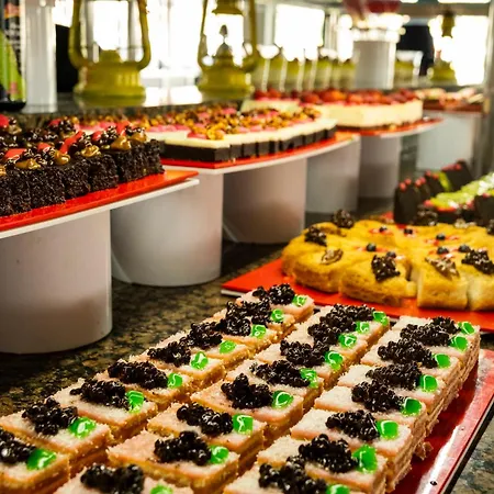 Euphoria Palm Haciobasi