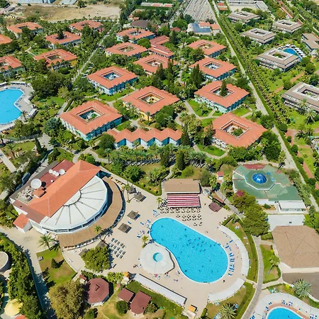 Euphoria Palm Θέρετρο Haciobasi