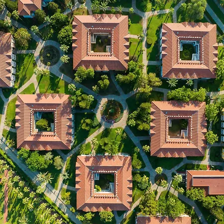 Euphoria Palm Θέρετρο Haciobasi