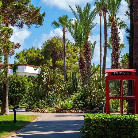 Euphoria Palm Θέρετρο 5*